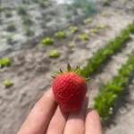 Hart Frühstückspension