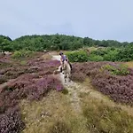 Hart Frühstückspension 4*
