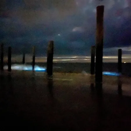 Bed & Breakfast Hart Petten