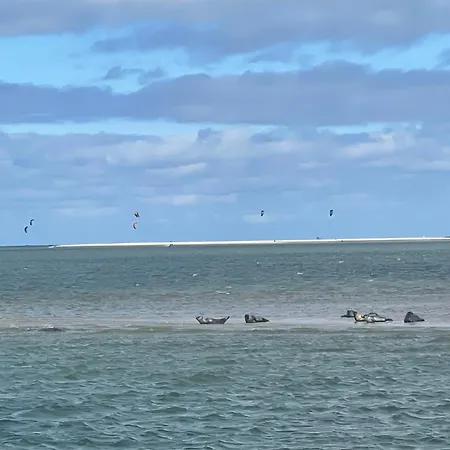 Bed & Breakfast Hart 4*