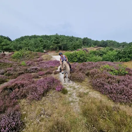 Hart Bed & Breakfast 4*