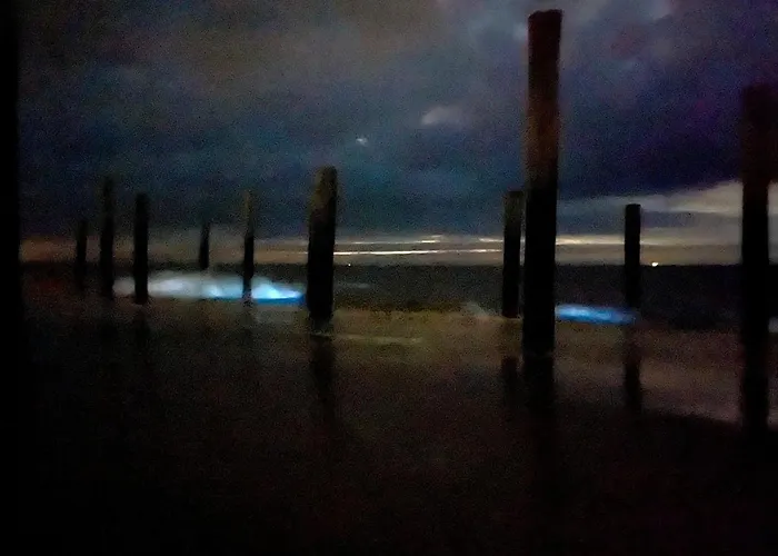 Bed & Breakfast Hart Petten