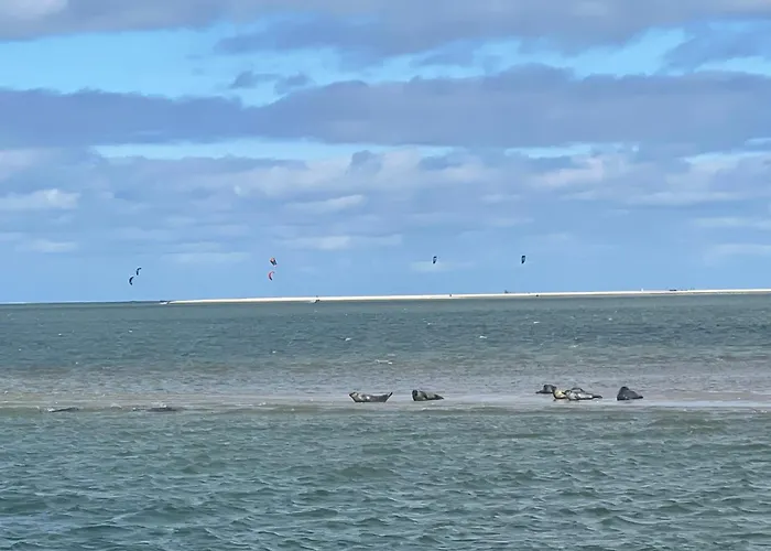 Bed & Breakfast Hart 4*